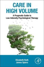 Pragmatic Guide to Low Intensity Psychological Therapy