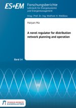 A novel regulator for distribution network planning and operation