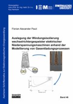 Auslegung der Windungsisolierung wechselrichtergespeister elektrischer Niederspannungsmaschinen anhand der Modellierung von Gasentladungsprozessen
