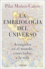 La embriología del universo