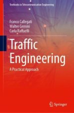 Traffic Engineering