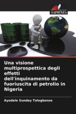 Una visione multiprospettica degli effetti dell'inquinamento da fuoriuscita di petrolio in Nigeria
