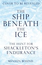 Ship Beneath the Ice