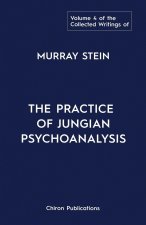 Collected Writings of Murray Stein