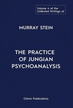 Collected Writings of Murray Stein