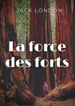 force des forts