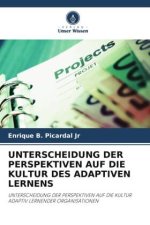 UNTERSCHEIDUNG DER PERSPEKTIVEN AUF DIE KULTUR DES ADAPTIVEN LERNENS
