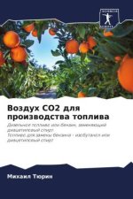Vozduh CO2 dlq proizwodstwa topliwa