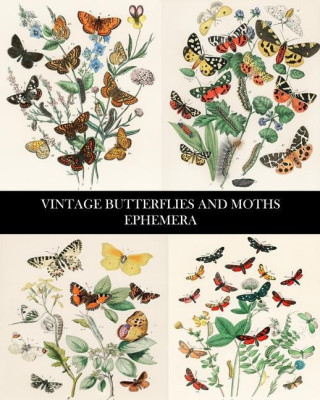 Vintage Butterflies and Moths Ephemera