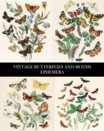 Vintage Butterflies and Moths Ephemera