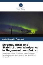 Stromqualität und Stabilität von Windparks in Gegenwart von Fakten