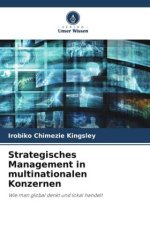 Strategisches Management in multinationalen Konzernen