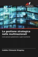 La gestione strategica nelle multinazionali