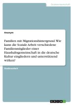Familien mit Migrationshintergrund. Wie kann die Soziale Arbeit verschiedene Familienmitglieder einer Haushaltsgemeinschaft in die deutsche Kultur ein
