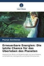 Erneuerbare Energien: Die letzte Chance für das Überleben des Planeten