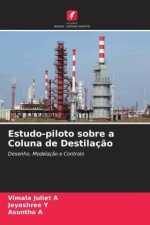 Estudo-piloto sobre a Coluna de Destilaç?o