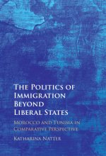 Politics of Immigration Beyond Liberal States