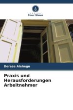 Praxis und Herausforderungen Arbeitnehmer