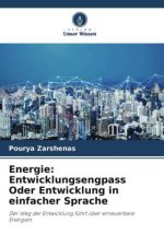 Energie: Entwicklungsengpass Oder Entwicklung in einfacher Sprache