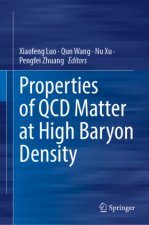 Properties of QCD Matter at High Baryon Density