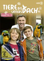 Tiere bis unters Dach
