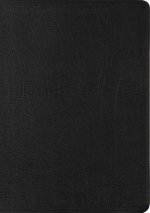 ESV New Testament with Psalms and Proverbs (Black)