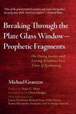 Breaking Through the Plate Glass Window--Prophetic Fragments