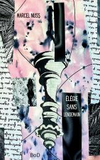 Elegie sans lendemain