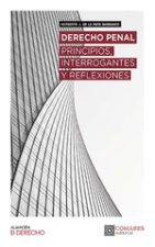 Derecho penal. Principios, interrogantes, reflexiones