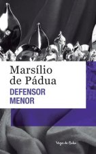 Defensor menor (edicao de bolso)