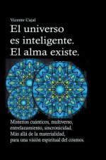 universo es inteligente. El alma existe. Misterios cuanticos, multiverso, entrelazamiento, sincronicidad. Mas alla de la materialidad, para una vision