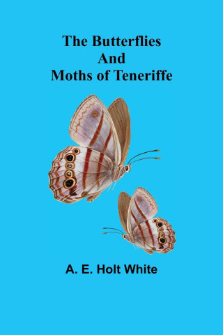 Butterflies and Moths of Teneriffe