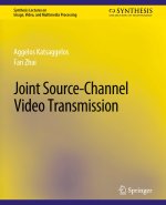 Joint Source-Channel Video Transmission