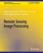 Remote Sensing Image Processing