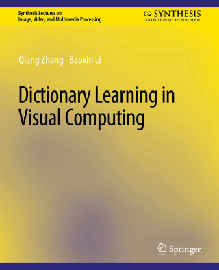 Dictionary Learning in Visual Computing