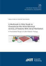A Multiscale In Silico Study to Characterize the Atrial Electrical Activity of Patients With Atrial Fibrillation : A Translational Study to Guide Abla