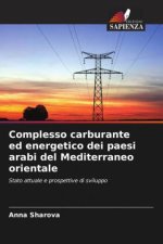Complesso carburante ed energetico dei paesi arabi del Mediterraneo orientale