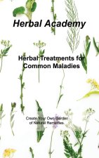 Herbal Treatments for Common Maladies