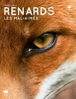 Renards