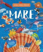 mare. Cosa, come, perché