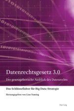 Datenrechtsgesetz 3.0; Der gesetzgeberische Ausblick des Datenrechts