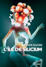 L'île de Silicium