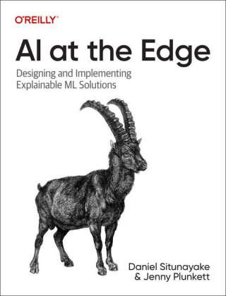 AI at the Edge