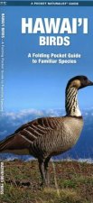 Hawai'i Birds: A Folding Pocket Guide to Familiar Species