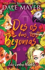 Des os dans les Begonias