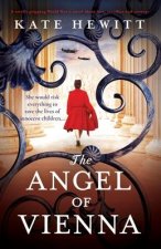 Angel of Vienna