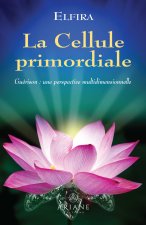 La cellule primordiale - Guérison : une perspective multidimensionnelle