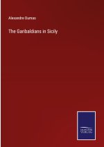 Garibaldians in Sicily