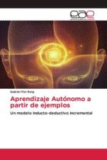 Aprendizaje Autónomo a partir de ejemplos