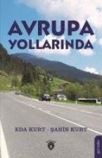 Avrupa Yollarinda